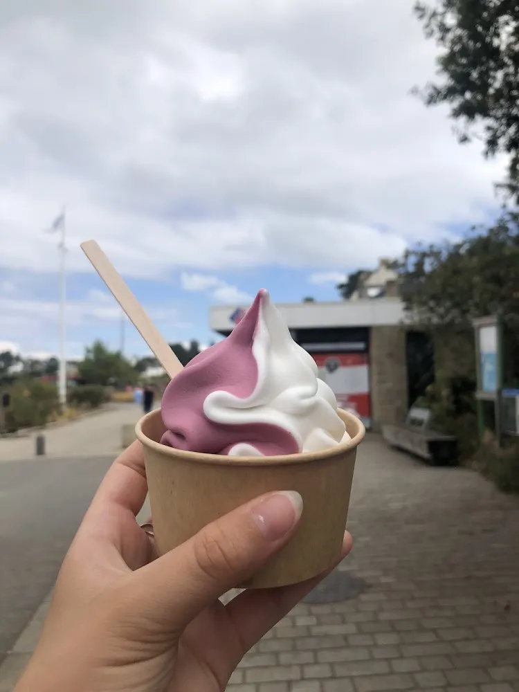 Glace À l’italienne Citron Cassis